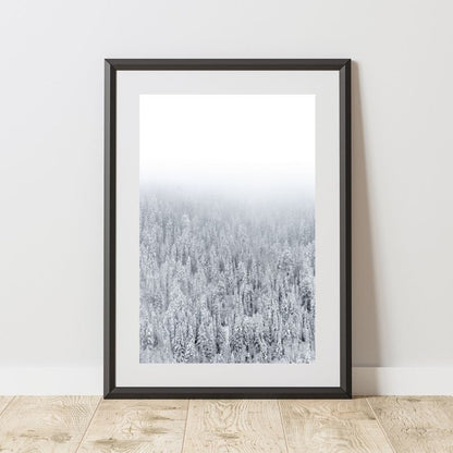 Snowy Winter Pines